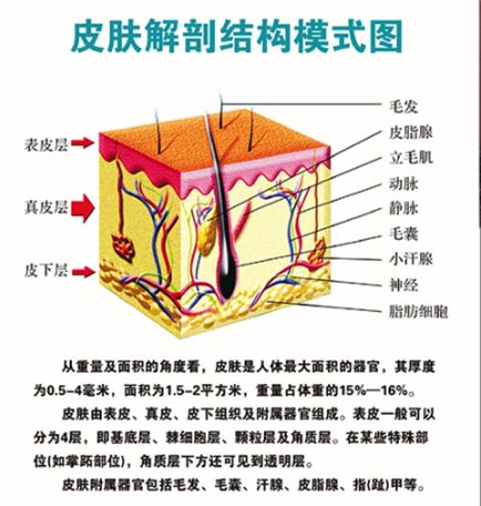 9e55003ee9c704c0dbee97d4d3d71c5.png