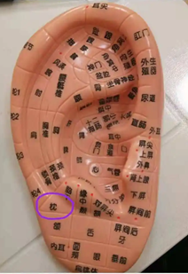 c83d9d105be5cc5ac3183d8e66c41be.png