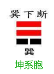 9154a0c8bad0a434e1e3b09df99ac04.png
