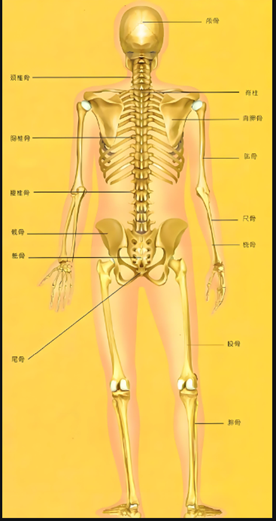 938977cc53eebc21de7cb7a7ca0edbe.png