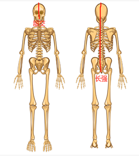 6bc3a1518882cbdbaece117ab3b89b3.png