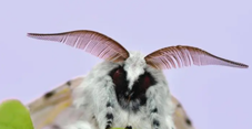 4ca51ec8ec663c2b55b9079c74f3ee5.png