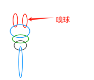 86fd1a259f2f17d09e01d95135eb5ec.png
