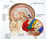 cf542c1b99f64c726c11d895646f601.png