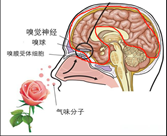 b1df36bf58ab16ee700ff4b0ded0515.png